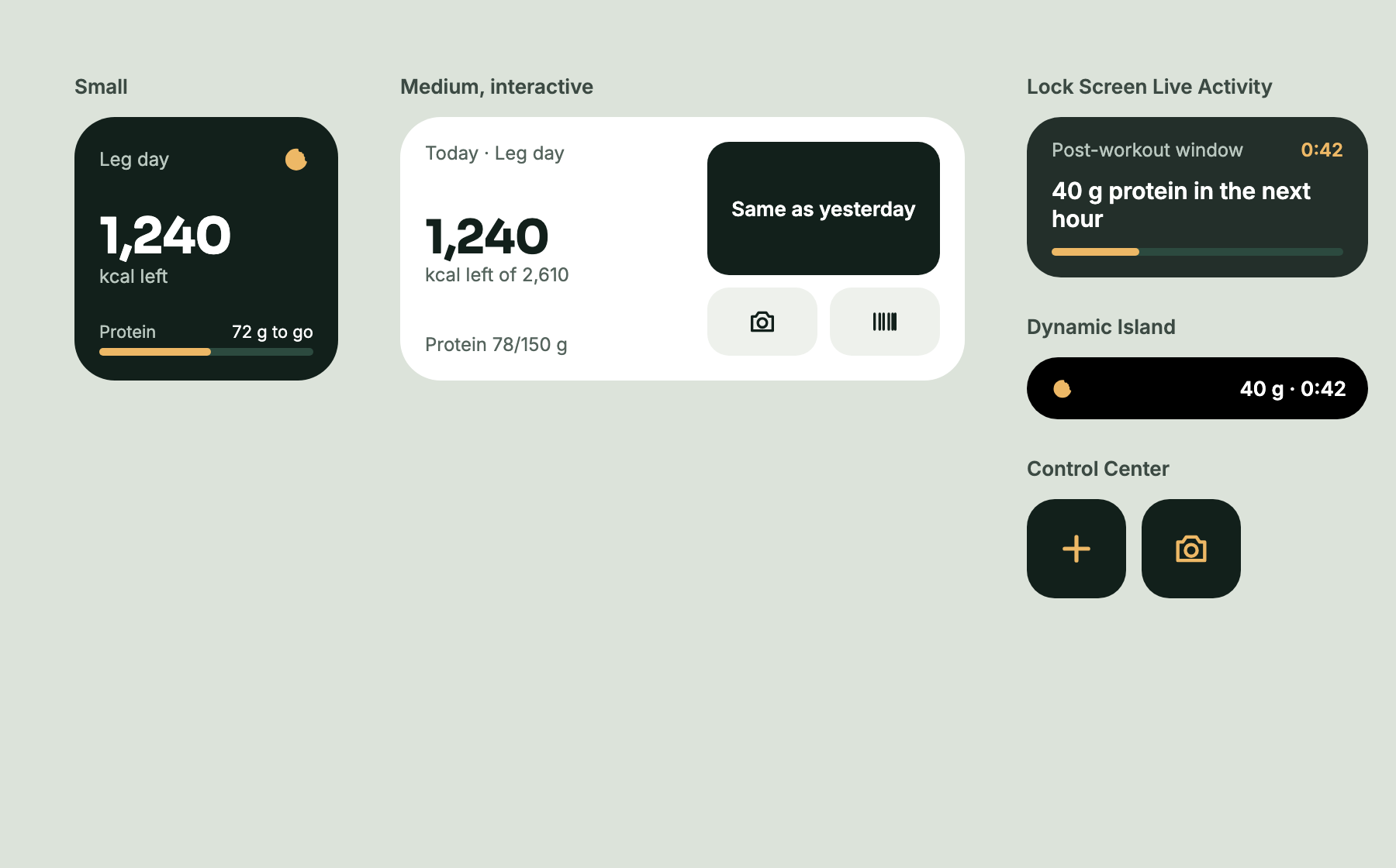 A small and a medium widget showing 1,240 kcal left, a Lock Screen Live Activity with 40 g protein in the next hour, the Dynamic Island and two Control Center buttons.